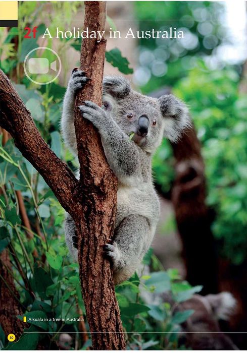 Meditații la Lb. Engleză