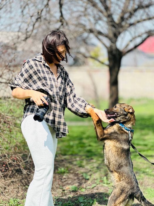 Мальчик щенок 5 месяцев
