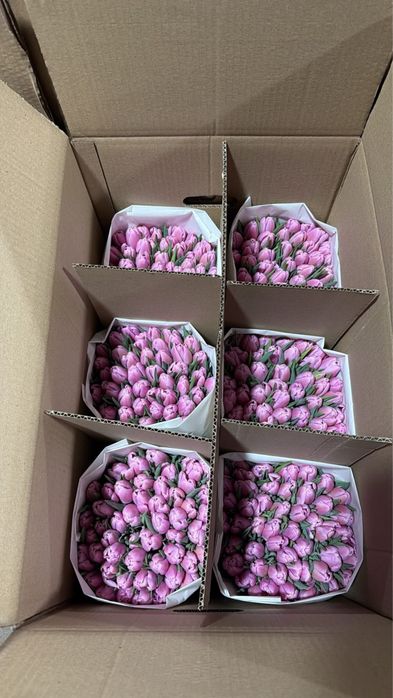 Тюльпаны оптом  | Низкие цены | Большие объёмы