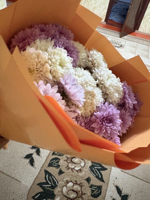 цветы хризантема"""