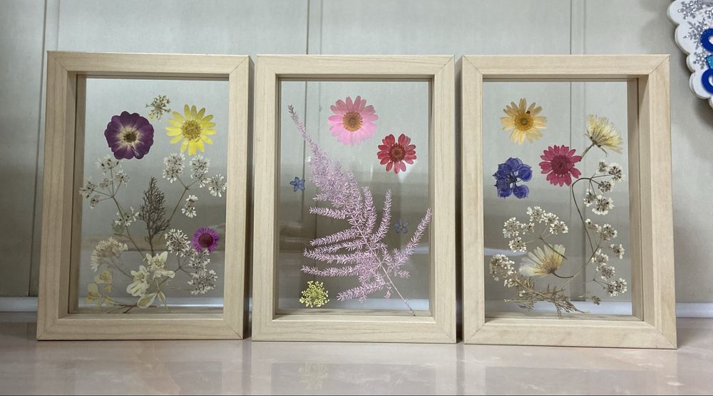 Гербарий в деревянной рамке,под стеклом