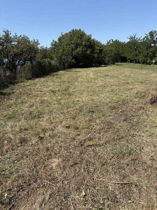 Servicii de curățare și defrișare ternuri de vegetație spontană….etc!!