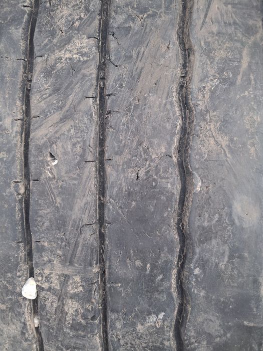 Vand roti complete cauciucuri + janta  camion