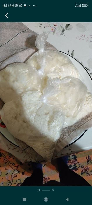 Продам творог 1000т