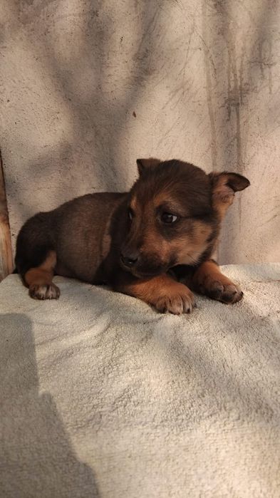 Помогите пожалуйста дом найти