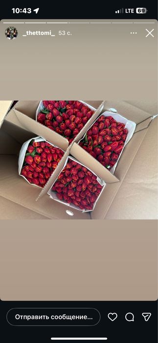 Тюльпаны к 8 марта