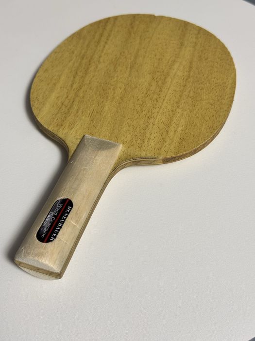 Lemne Dr Neubauer  - Donic