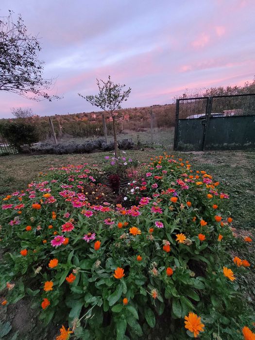 Продава се Къща в с. Вълчаново, Област Бургас - 120 кв.м за 684 €/кв.м - Снимка #2