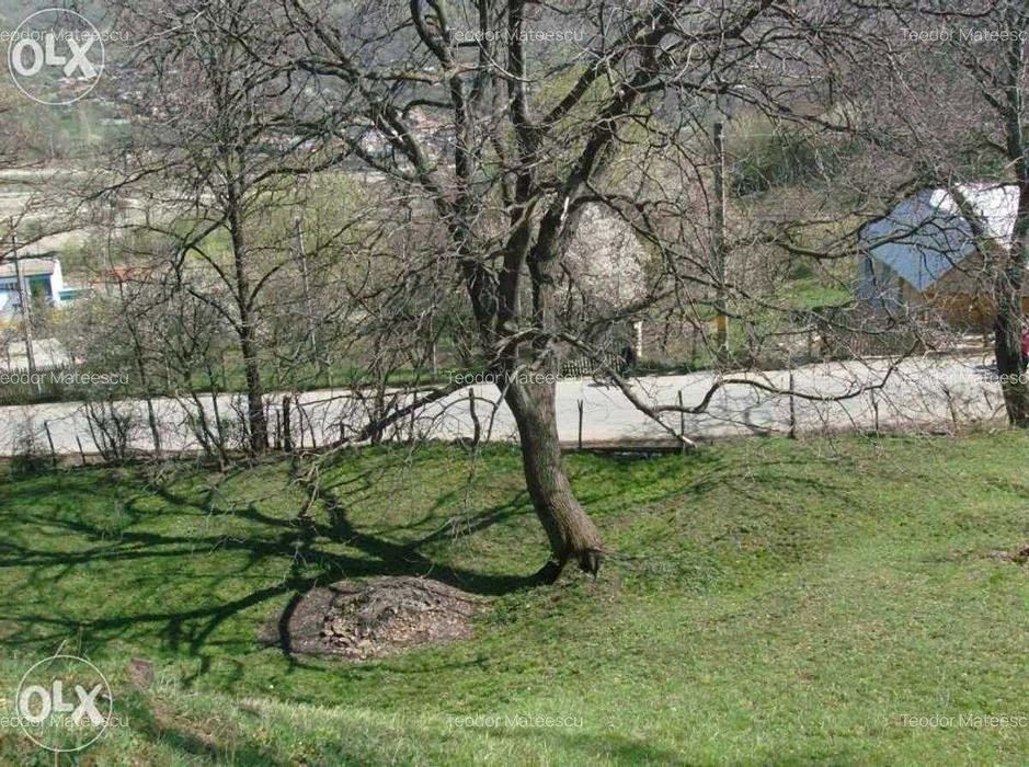 Vand Teren Intravilan Maneciu-Ungureni, Jud. Prahova