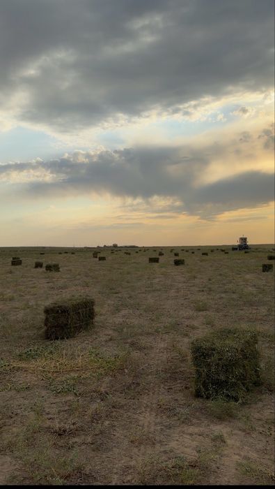 Сатылатын жантақ бар