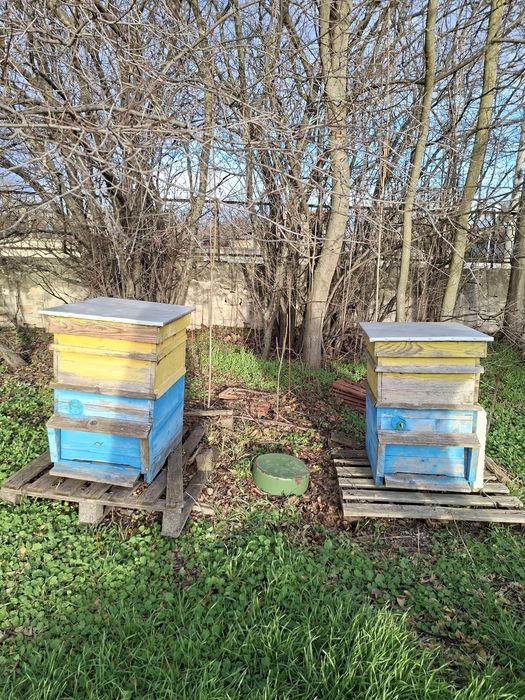 Ръчна центрофуга за мед и два използвани големи кошера