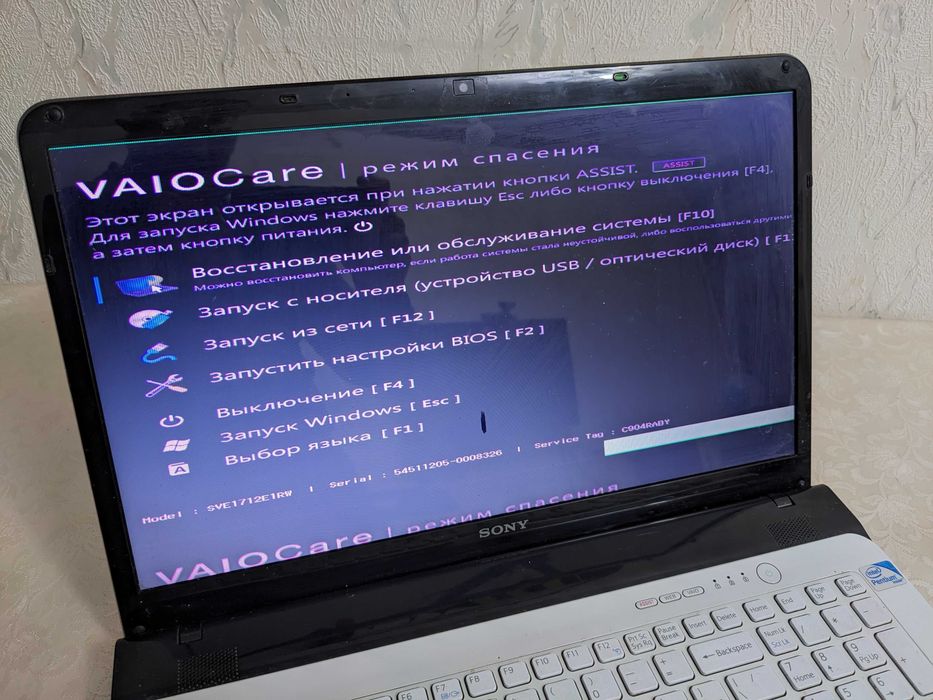 Sony VAIO + Toshiba Satellite