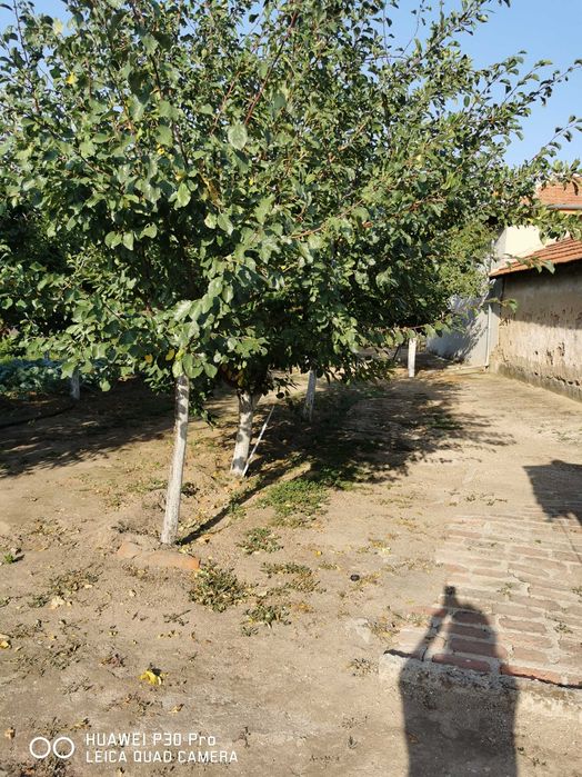 Къща с. Голям чардак област Пловдив