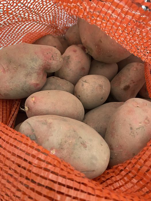 Кушалинская картошка