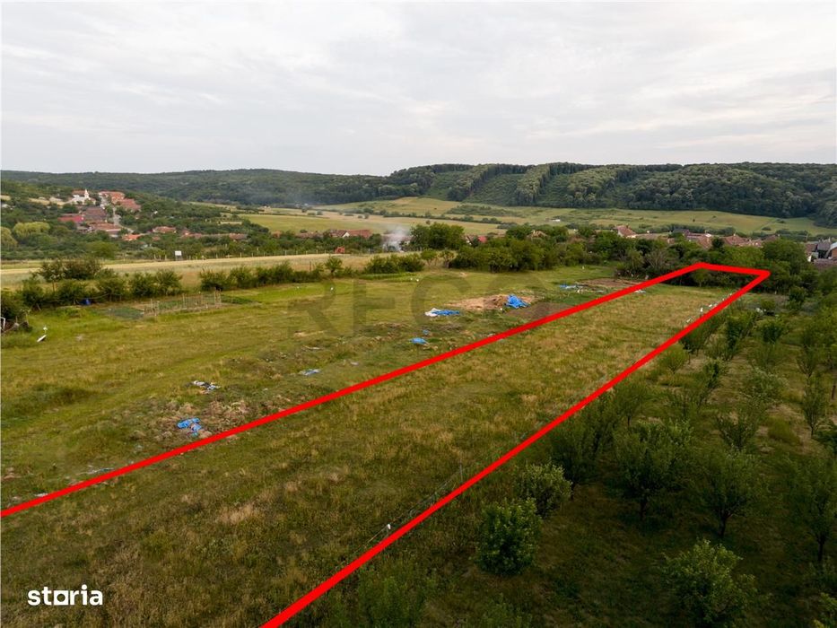 RECO Teren intravilan de vanzare Betfia, Bihor - 3000 mp, front strada