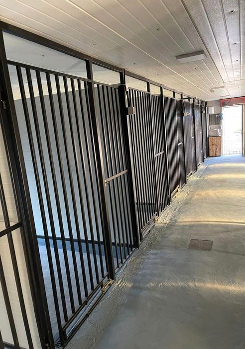 Pensiune canina Scooby-Dog Cluj