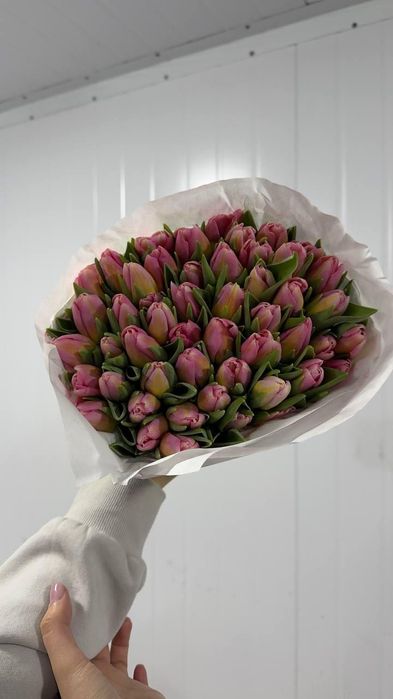 Тюльпаны из Голландии к 14 февраля — доставка по Ташкенту