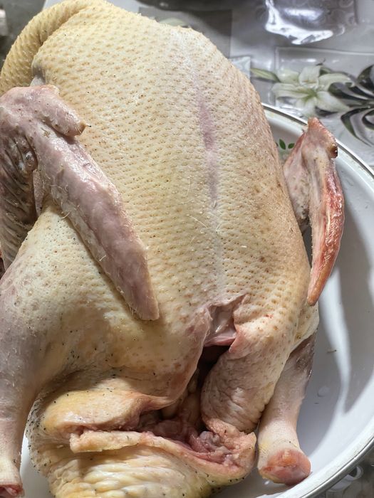 Индоутки домашние