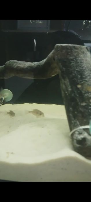 Продам грунт для аквариума