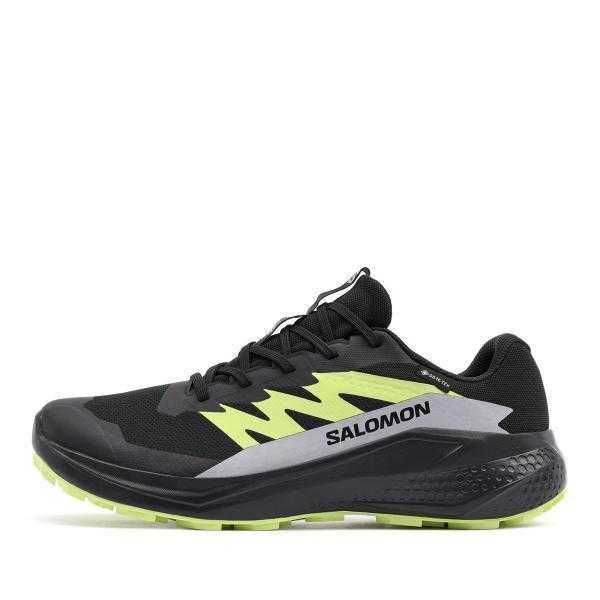 Salomon alphaglide gortex