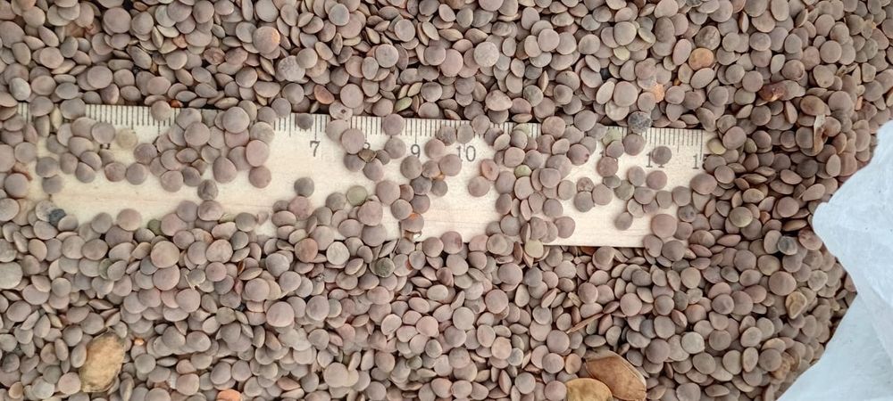 Жмых.Зерновой клуб!