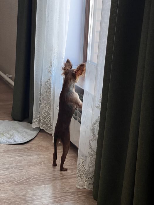 Лоскуты ткани, куски ткани