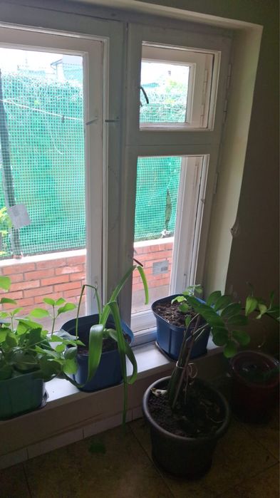 Продается частный дом или обмен