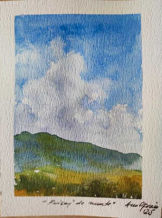 Acuarele pictate 10/15cm, 70 Ron Bucata