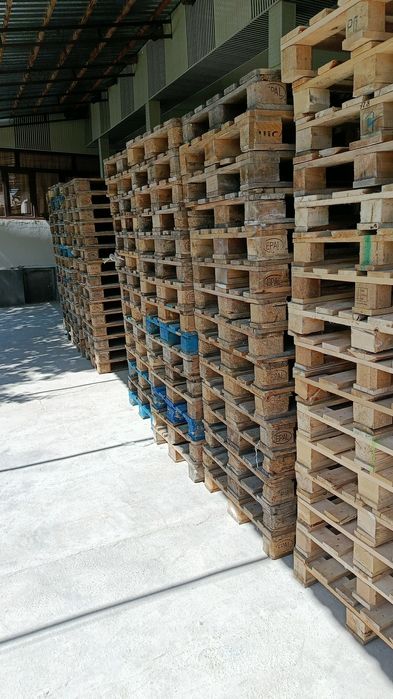 Evro bor 2-3 sort