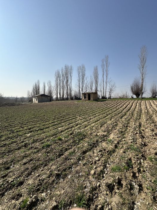 Yer sotiladi srochna arzonga