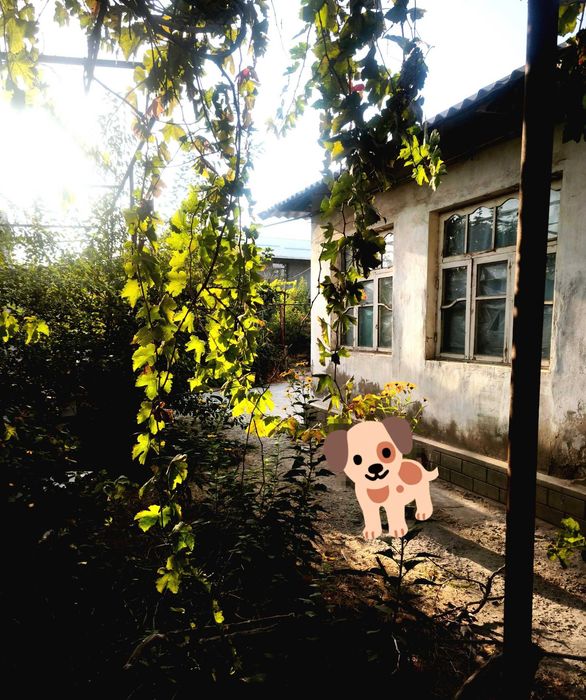 Продаётся участок сотилади 5.75 соток Янги-Хаётский район