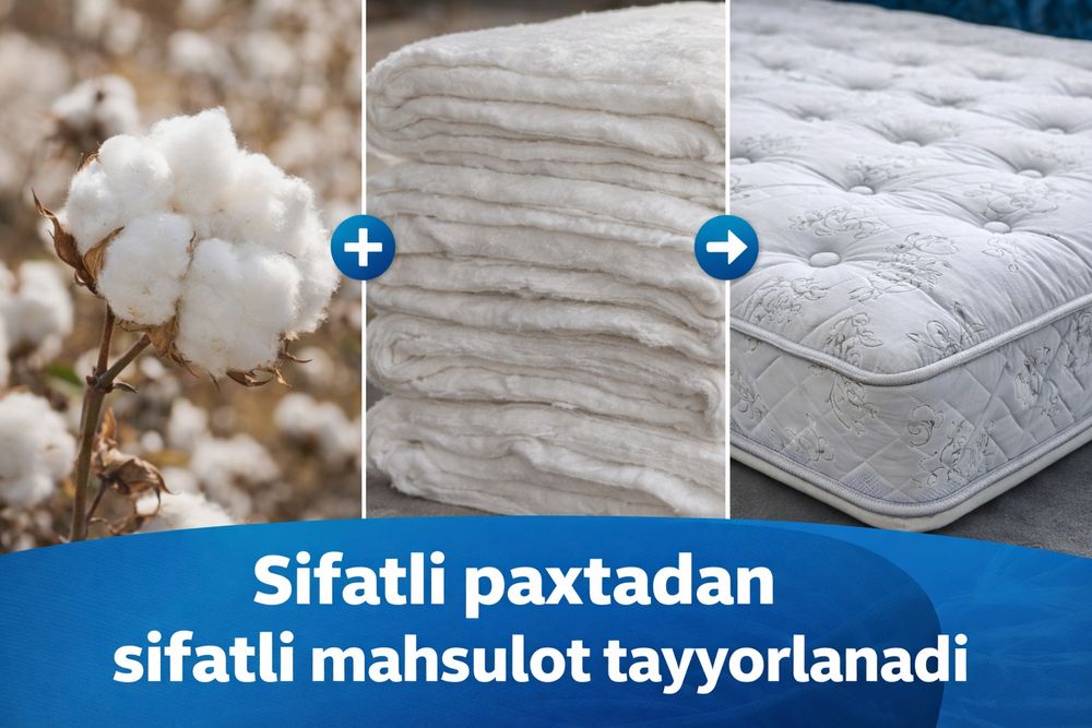 Той пахта оптомга