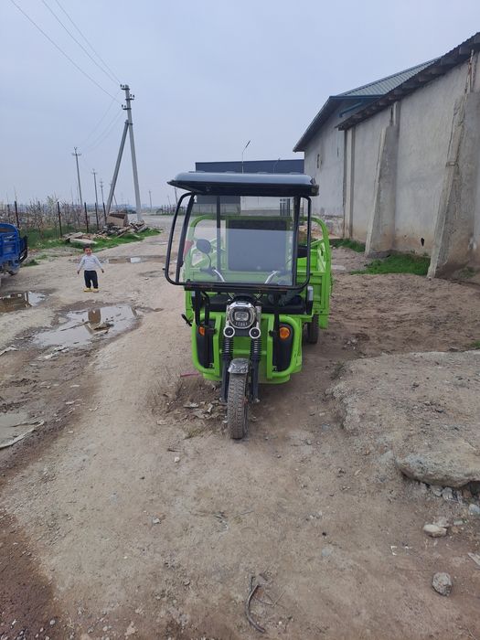 Elektro muravy muraviy sotiladi