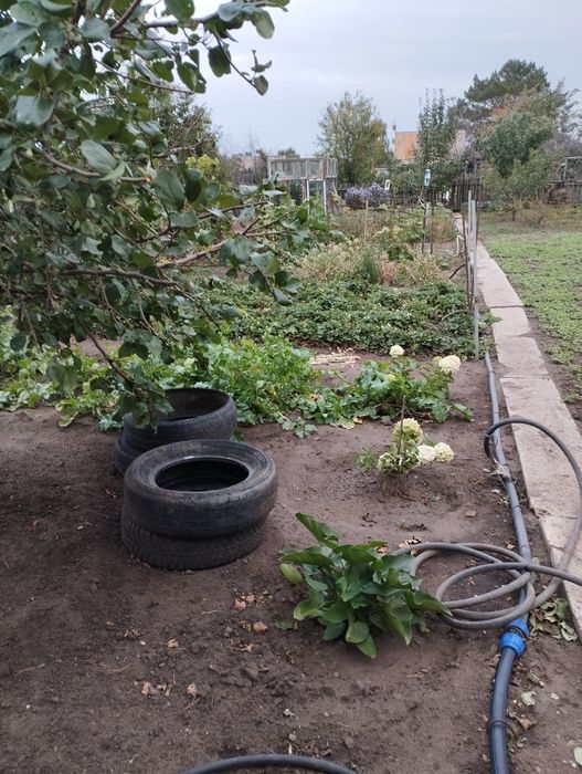 Продам дачу сады 1,16/а