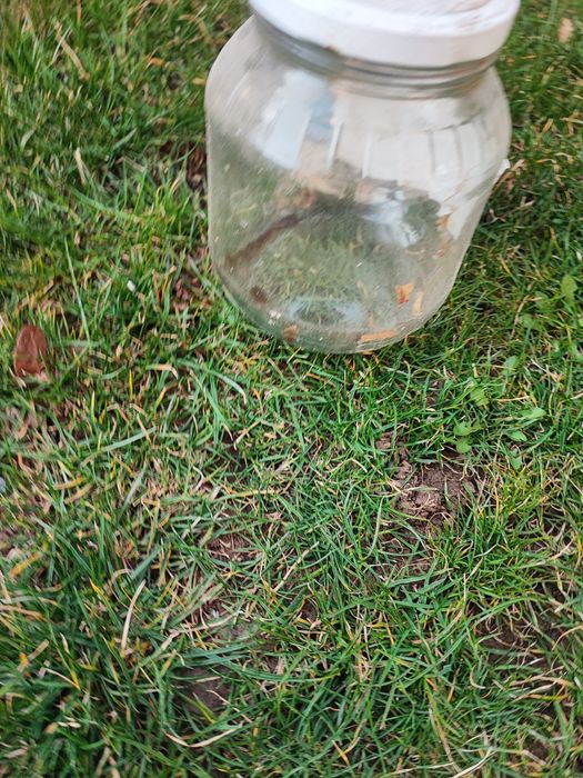 Буркани 1700  мл