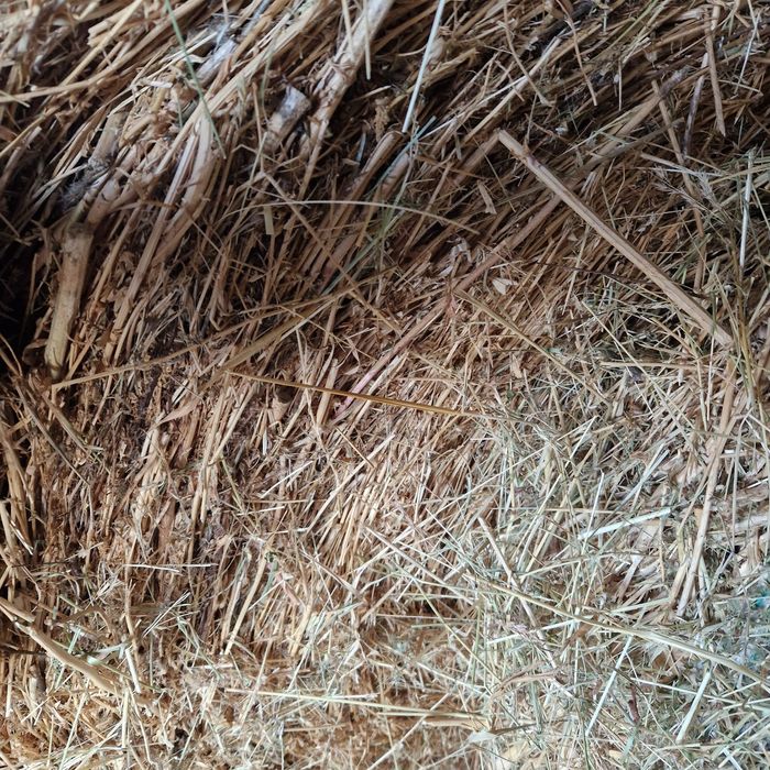 Ролона бали люцерна първи откос