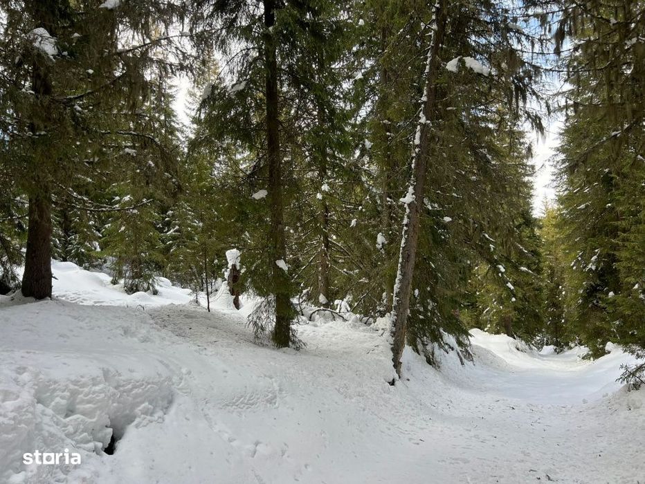 Teren intravilan cu panorama - statiunea Muntele Baisorii