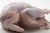 Мясо индейки, индейка тушка домашняя