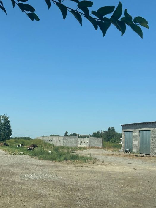 Ferma. Chorva mollari uchun.
