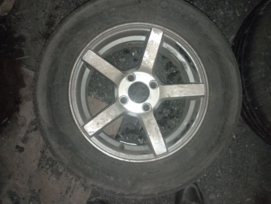 Титанка с ризинаи