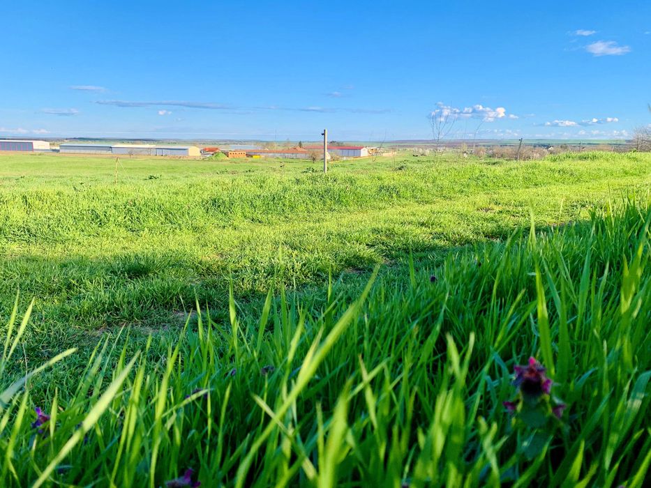 Парцел в регулация - тишина, необятна гледка и усещане за свобода
