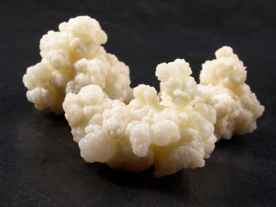 Млечен кефир (kefir grains) – жива пробиотична култура