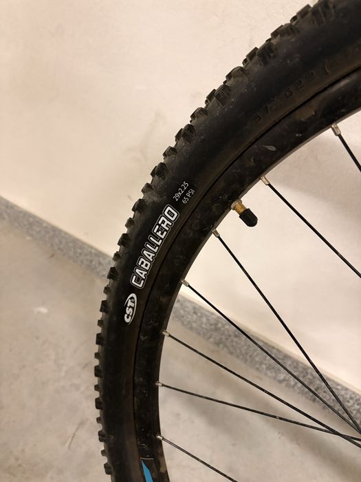 Sprint Apolon 29”