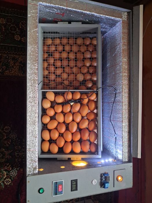 Инкубатор для птиц автомат на 200 яиц