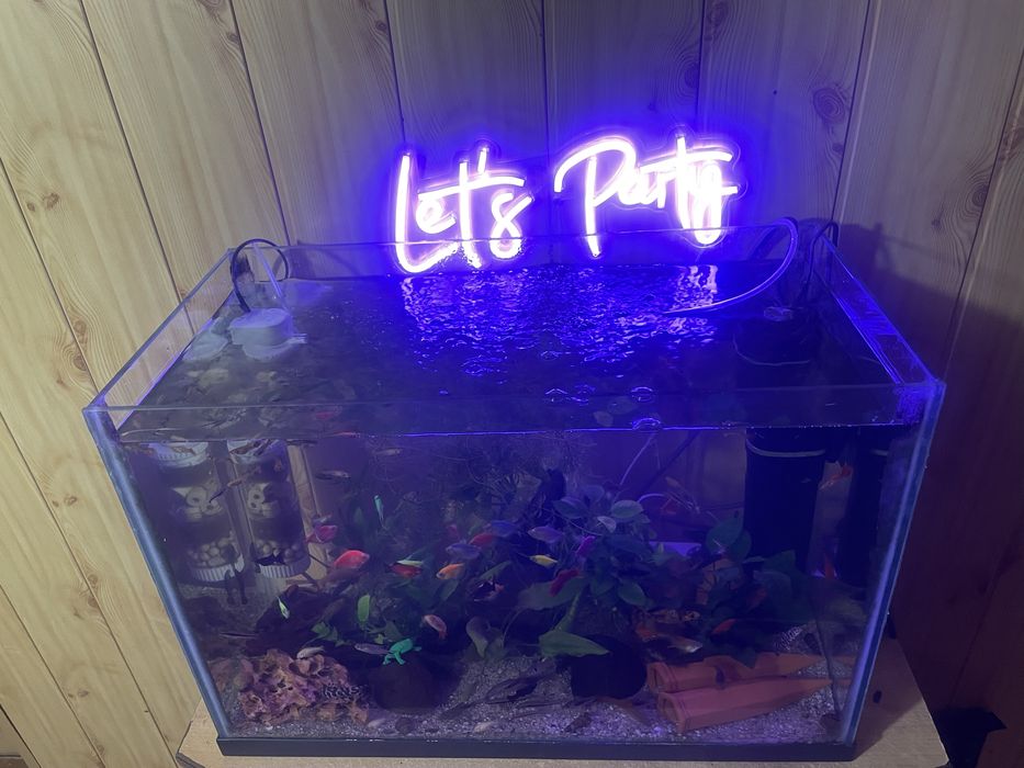 Acvariu 65 Litri cu pesti si echipat