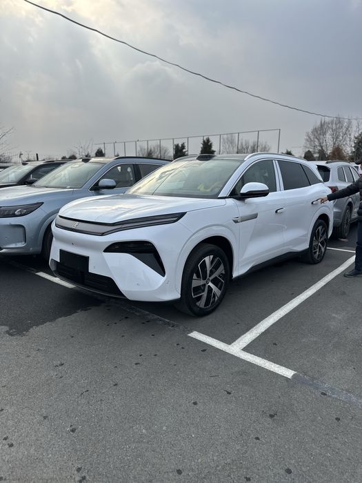 Byd tang L oq qora 2 pozitsiya