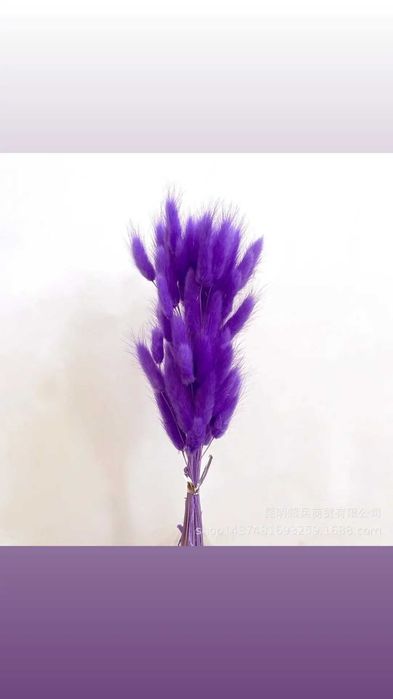 Сухоцветы, лагрус, пшеница, лаванда