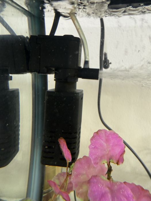 Akvarium 30 litr kitayskiy