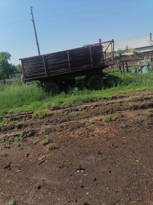 Продается телешка