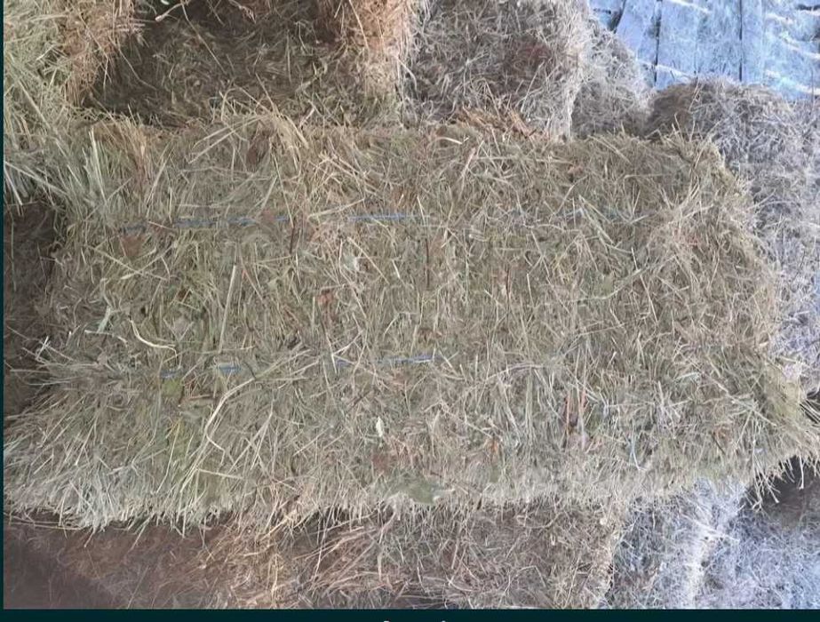 Baloți de Fân 2025